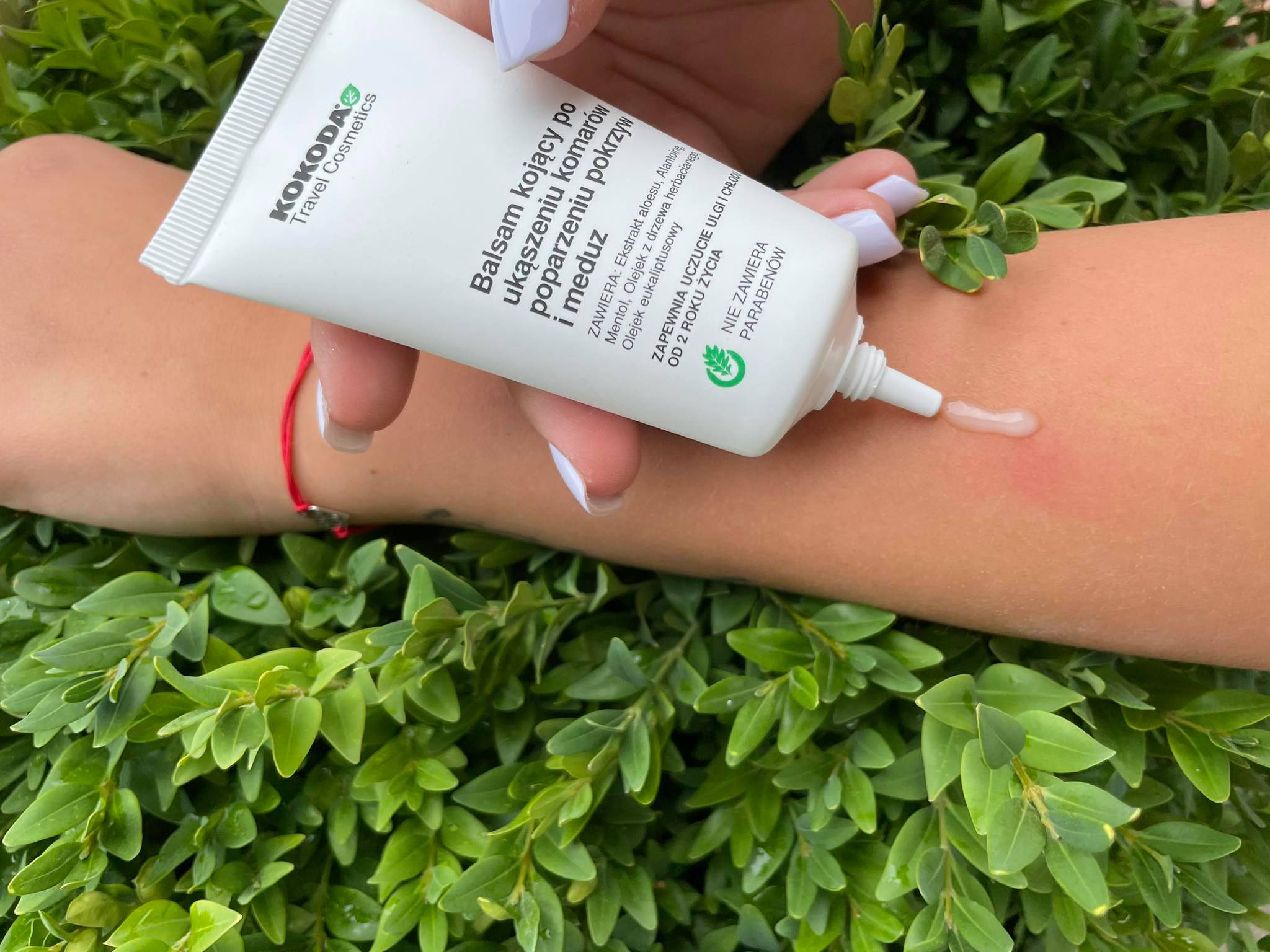 co na ukąszenie komarów zdjęcia